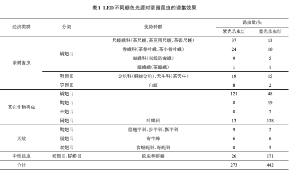 LEDͬɫԴԲ԰ռЧ