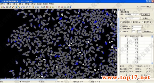 大米外观品质检测仪|大米外观品质检测仪|专业