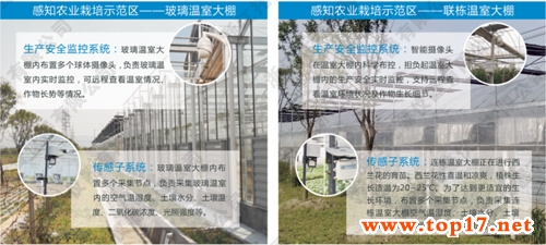 托普農(nóng)業(yè)物聯(lián)網(wǎng)在設(shè)施農(nóng)業(yè)中的應(yīng)用