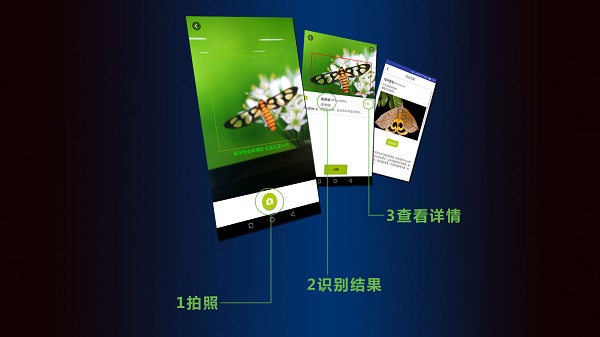 见虫一款拍照识别app遇见昆虫必备神器