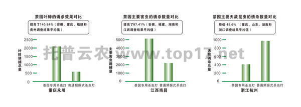 杀虫效果对比