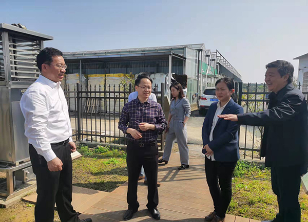 杨华副院长一行参观托普云农农业生产示范基地​