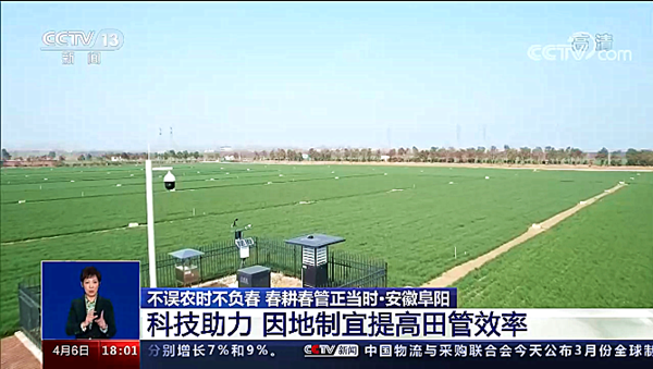 CCTV13新闻频道《共同关注》・安徽阜阳