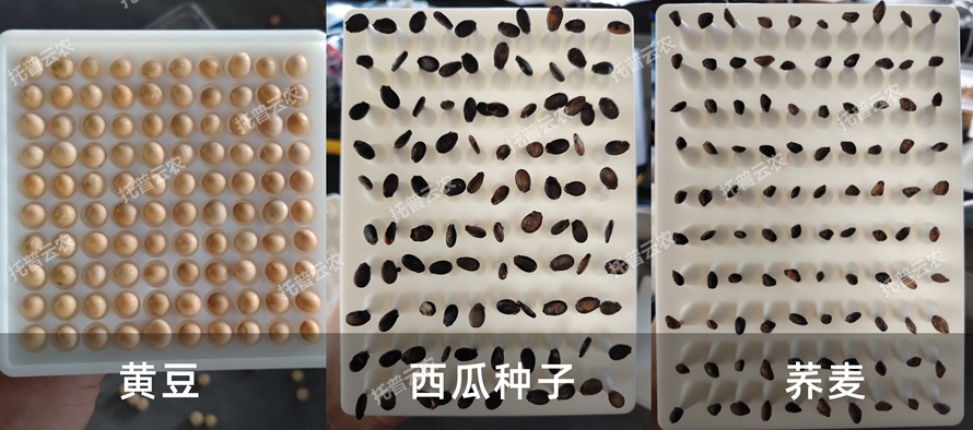TP-SZC-50多功能真空数种置床台