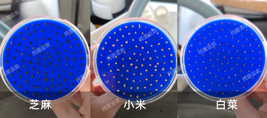 TP-SZC-50多功能真空数种置床台