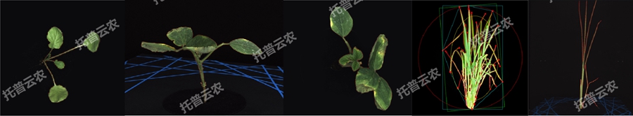澳ģ⼰ֲƽ̨-2ά