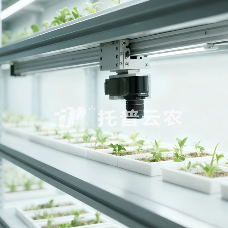 人工气候室植物表型监测系统