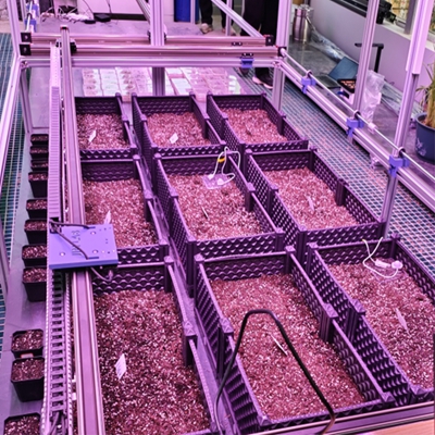 ȷͼϵͳ TPN-SeedPhy